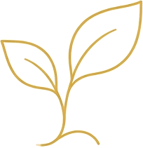 Leaf icon for the liver and the SHHHH healing sound
